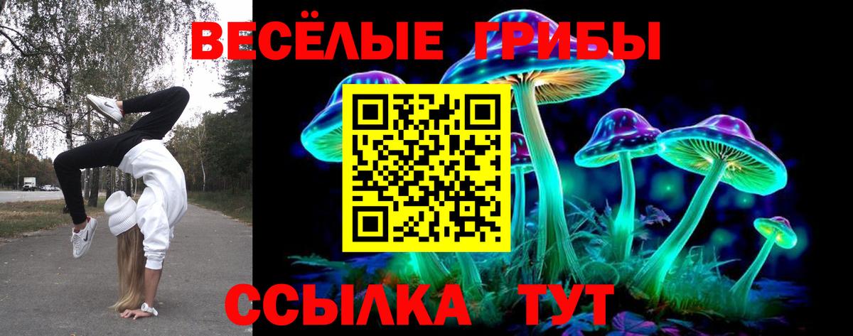 Родники  Псилоцибиновые грибы Magic Shrooms  Галлюциногенные грибы Cubensis  Вход с VPN 
