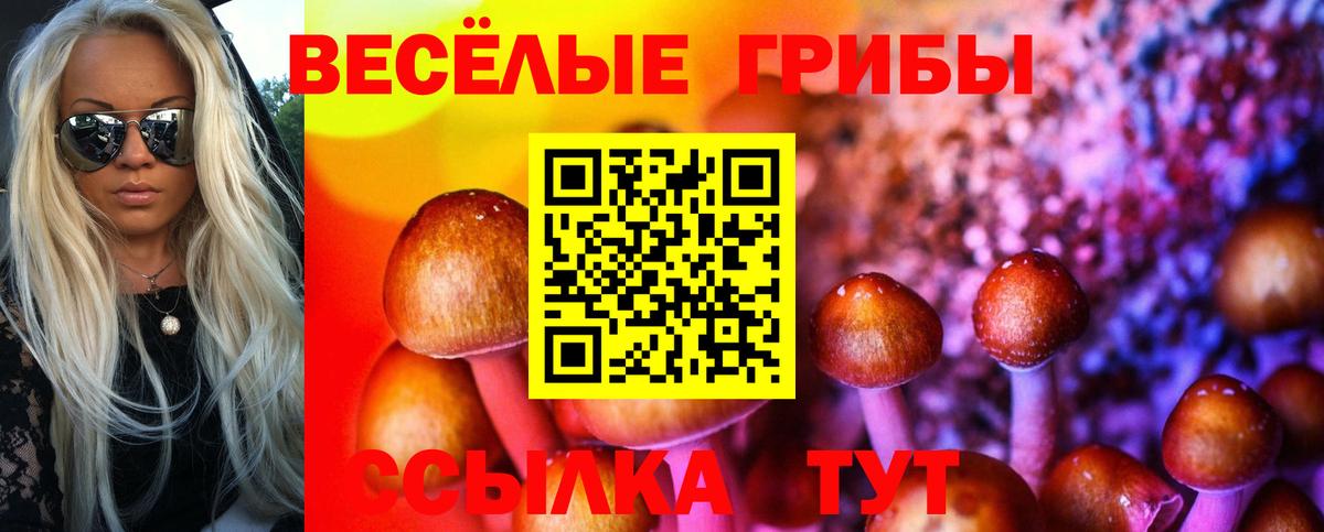 Галлюциногенные грибы мицелий Родники
